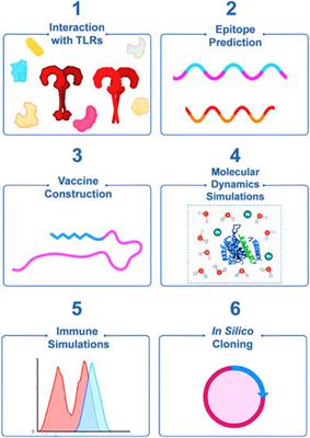 Immunoinformatics and reverse vaccinology approach in designing a novel highly immunogenic multivalent peptide-based vaccine against the human monkeypox virus